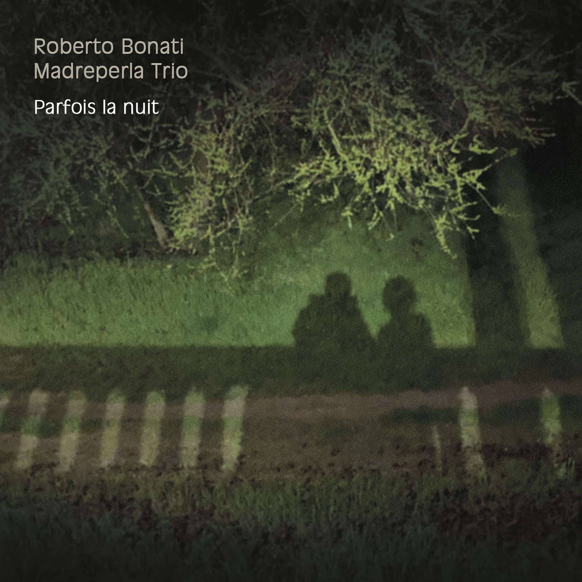 PARFOIS LA NUIT